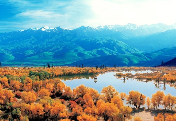 新疆之韵，探索独特文化与风情