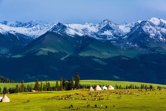 新疆盛会，尊敬的领导与亲爱的朋友们共聚一堂